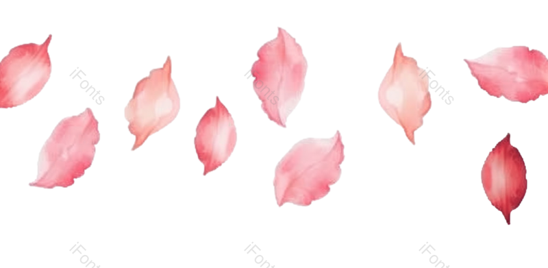 白色背景图片,花瓣元素,PNG,免抠素材